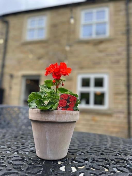 Olive Holiday Cottage Matlock Matlock  Buitenkant foto